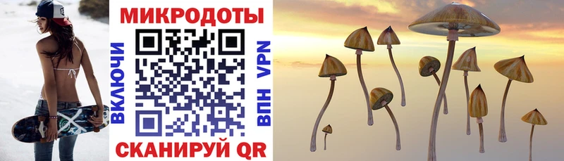 Псилоцибиновые грибы прущие грибы  Торжок 