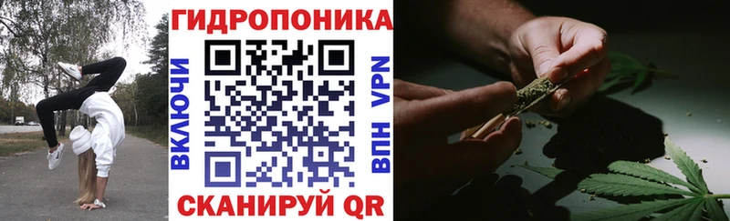 Бошки Шишки планчик что такое Торжок