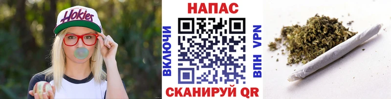 Канабис MAZAR Торжок